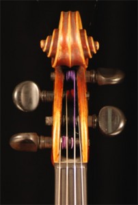 maggini4